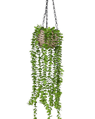 Hanging Woven Basket Potted Plant 90cm
