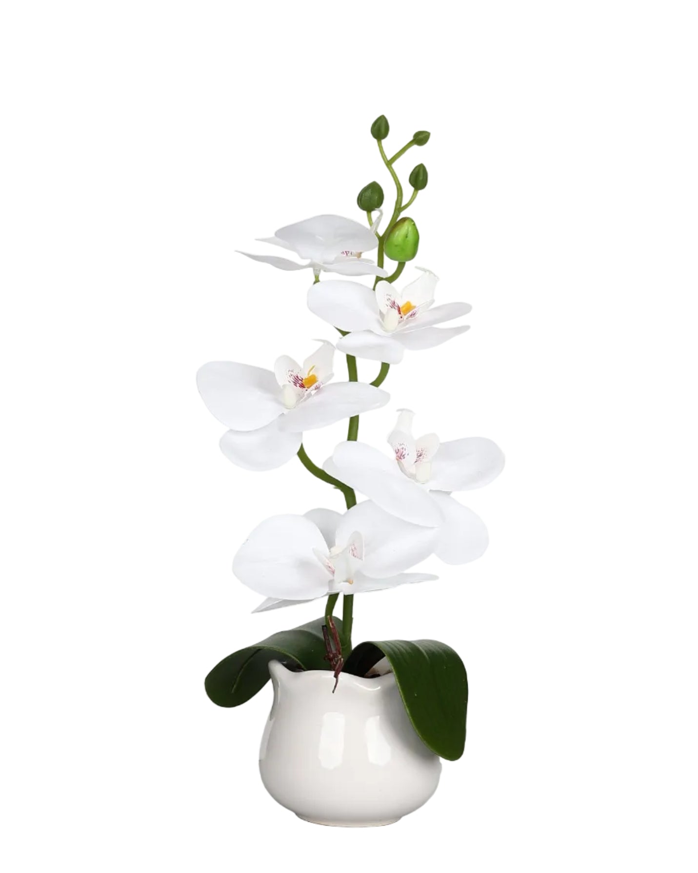 White Single Stem 40cm Orchid
