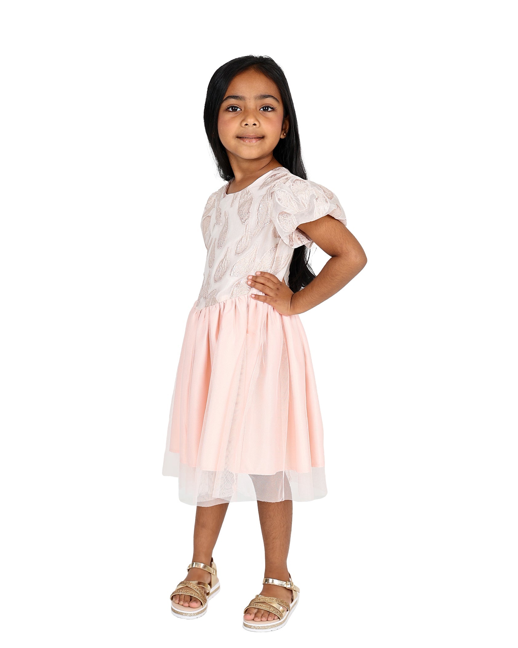 Short Sleeve Brocade Detail Tulle Party Dress