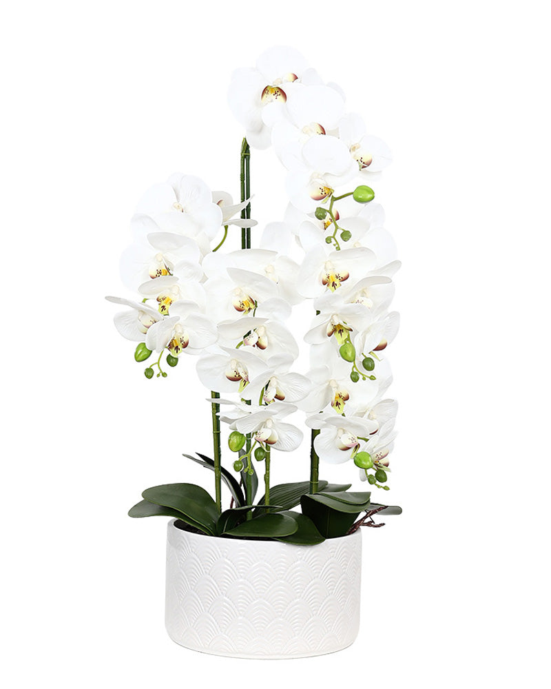 Three Stem Potted Faux Orchid 60cm