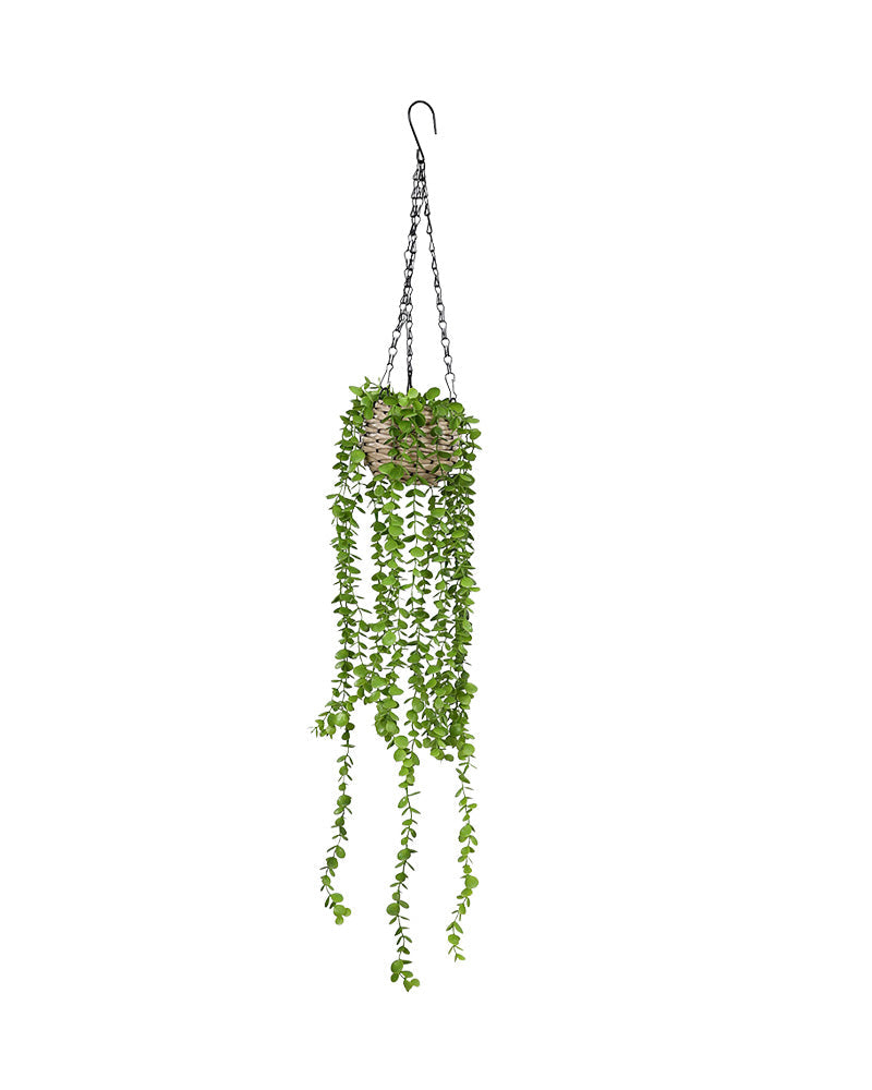 Hanging Woven Basket Potted Plant 90cm