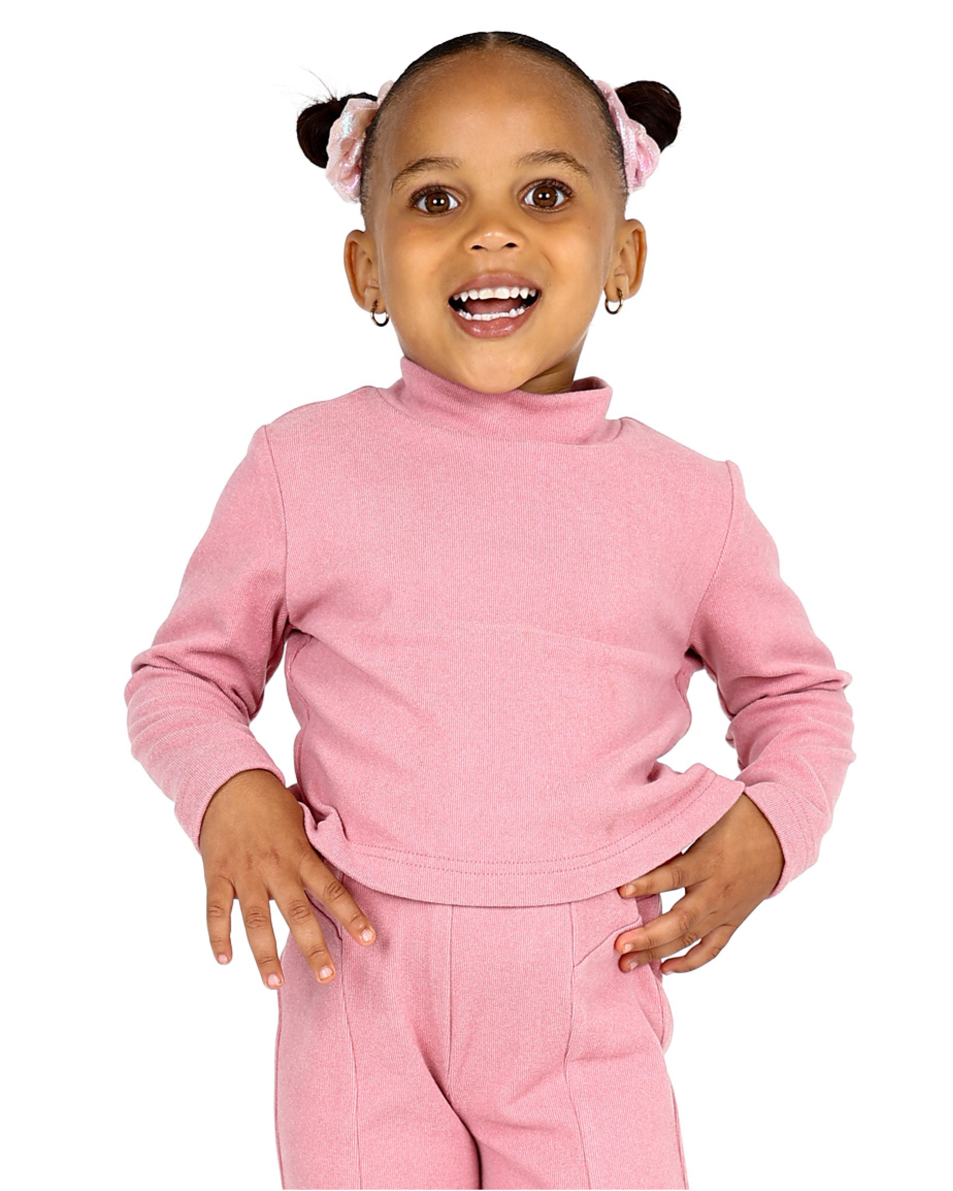 Pink Double Brushed Turtle Neck Crop Top